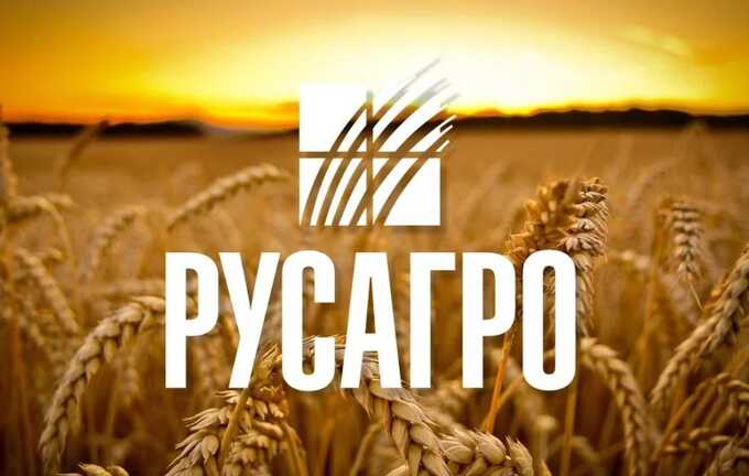 Корпоративные права на Кипре под угрозой: Иск Минсельхоза против холдинга Ros Agro PLC