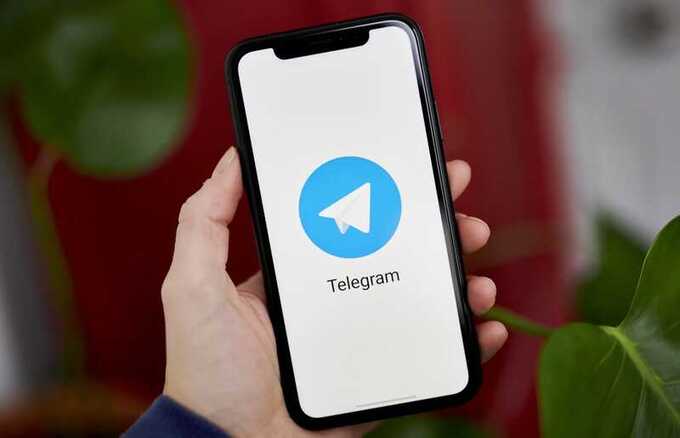 Во Франции несколько депутатов подверглись взлому аккаунтов в Telegram