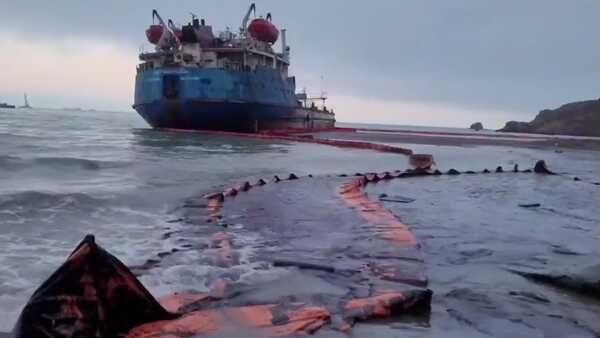 Подводное видео подтверждает серьезное мазутное загрязнение Черного моря