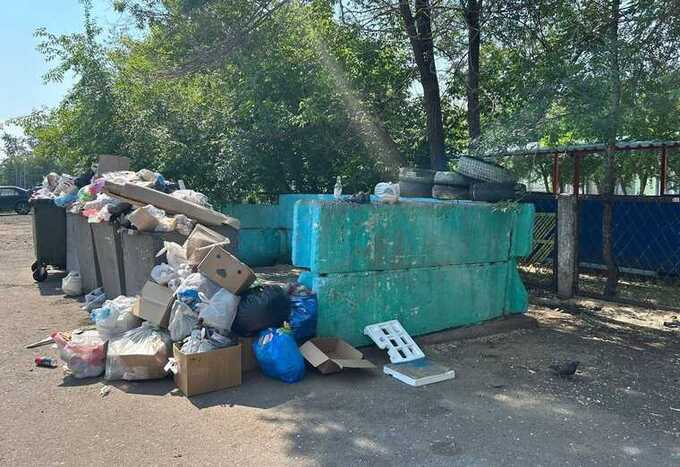 В Красноярске наводнили крысы: город переживает проблемы с мусором и нашествием грызунов