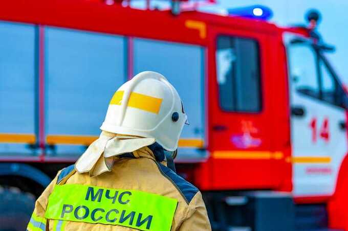 В Подмосковье из-за низкого уровня зарплат не хватает водителей в МЧС