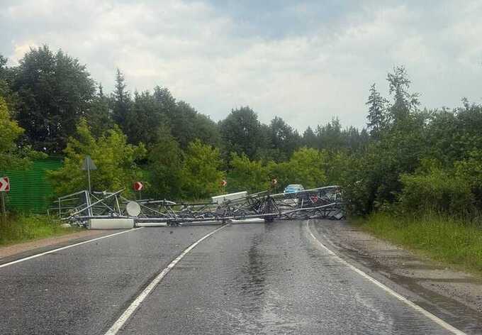 Ураган с градом повалил деревья и снес вышку связи в Подмосковье