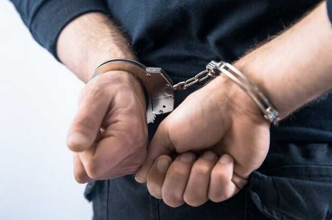 Пожилого мужчину из Подмосковья задержали по подозрению в убийстве и расчленении знакомой