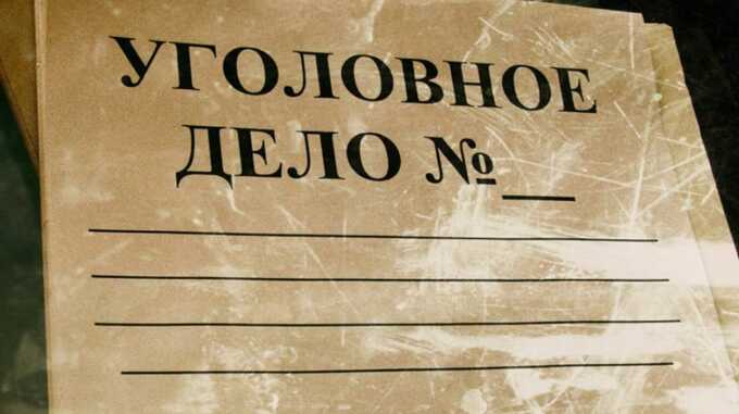 Дело Эрика Погосяна — совершил убийство в Химках, однако родственники стараются избавить его от обвинения в убийстве