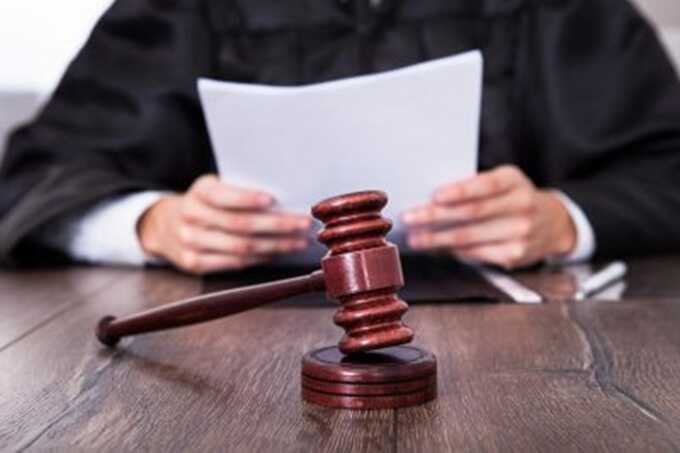Власти выписали штраф стримерше за нацистский символ в игре