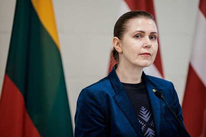 Литва обратилась к НАТО с просьбой усилить защиту от дронов
