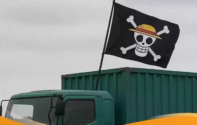 Флаг пиратов Соломенной Шляпы из One Piece превратился в символ протестов в Индонезии